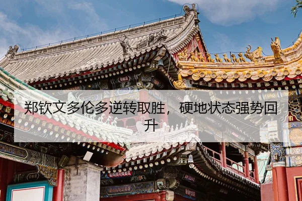 zheng-qin-wen-duo-lun-duo-ni-zhuan-qu-sheng-ying-di-zhuang-tai-qiang-shi-hui-sheng-3-506.jpg