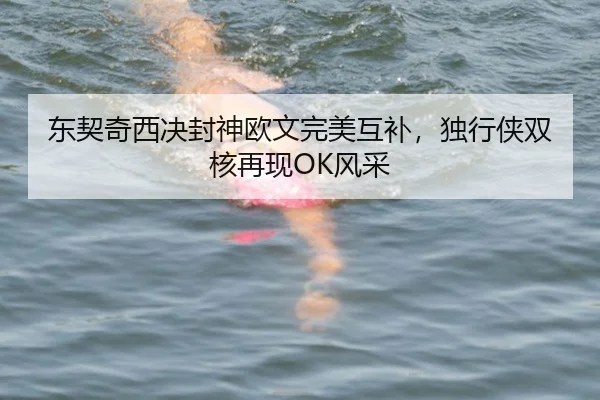 东契奇西决封神欧文完美互补，独行侠双核再现OK风采